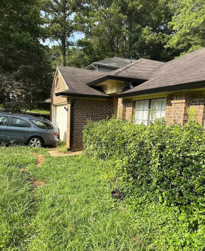 Expert gutter cleaning project